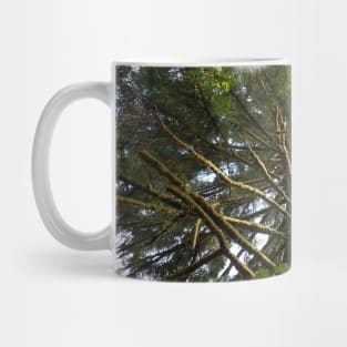 Mossy Tree Nature Photography Pacific Northwest Mug